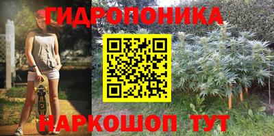 стафф Шебекино