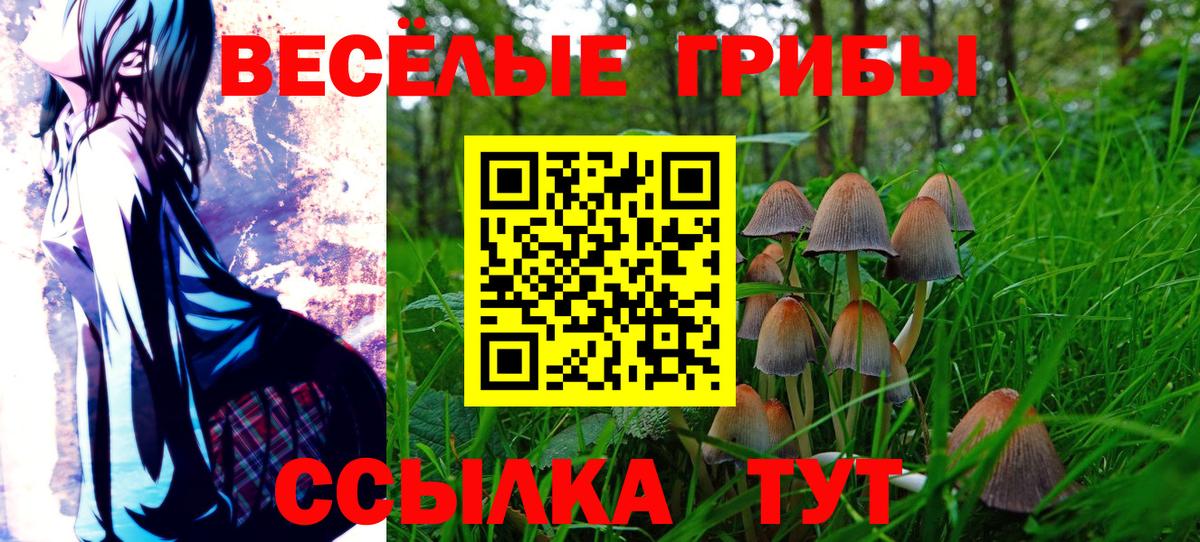 Галлюциногенные грибы ЛСД  Вход с VPN  купить наркоту  Белорецк 
